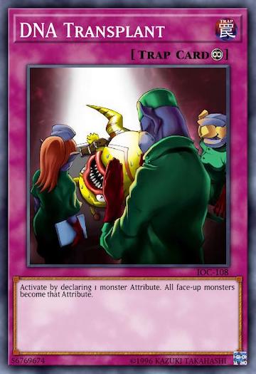 DNA Transplantat [C]