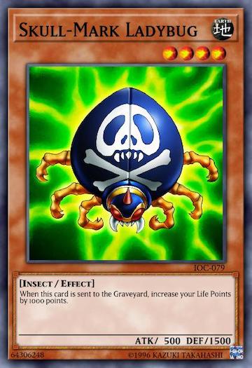 Totenkopf-Marienkäfer [C]