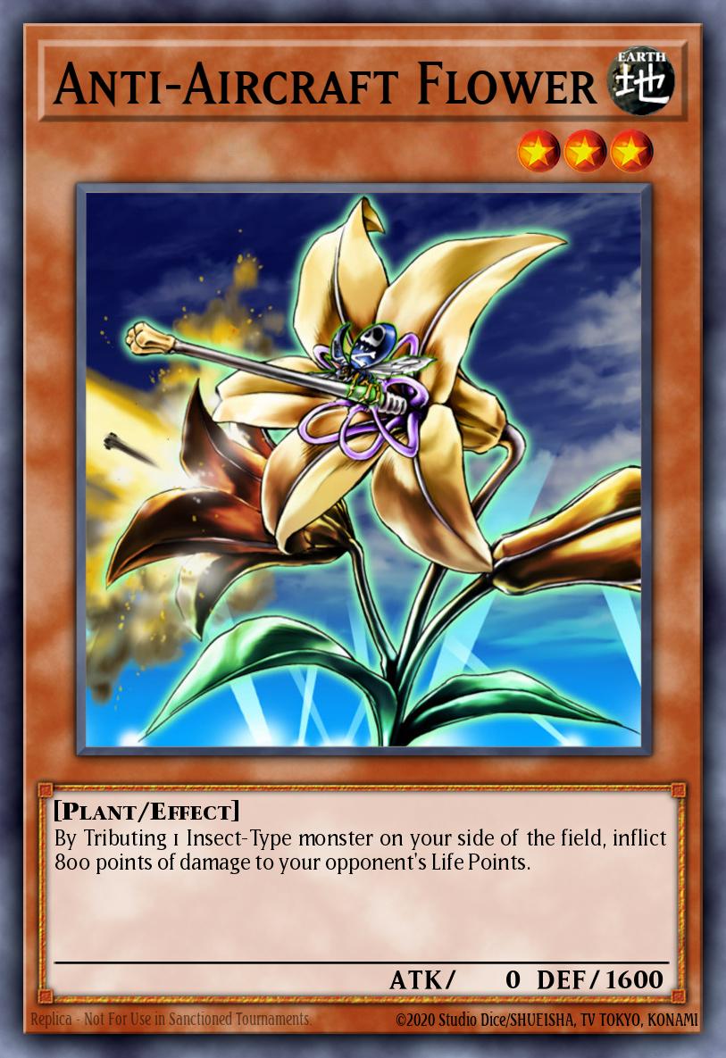 Anti-Flugzeug Blume [C]