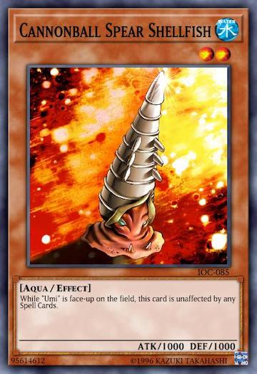 Kannonenball Speer-Schalentier [C]