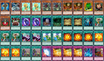 yugioh edison card list 1st Place X-Saber Deck HIGH RARITY FORMAT Yu-Gi-Oh Xx-Saber Edison World Championship Qualifier 9