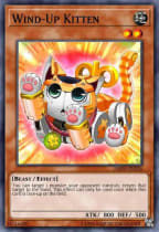 Raccoon Turbo Deck - Yu-Gi-Oh! Vegas Format - Format Library