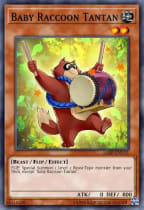 yugioh raccoon deck Dikoer Card Box, MTG Commander Deck Box Card Deck Case for Trading Cards, 100+ Sleeved Cards with PU Leather Magnetic Card Storage Box for TCG CCG Magic Cards Type monster from your Deck YUGIOH! *CASUAL* Baby Raccoon Deck
