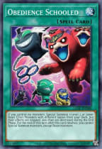 yugioh raccoon deck Raccoon Turbo Deck - Yu-Gi-Oh! Vegas Format